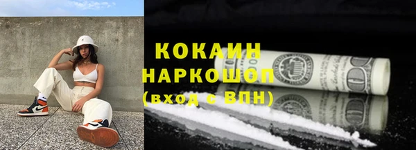 сатива Гусев