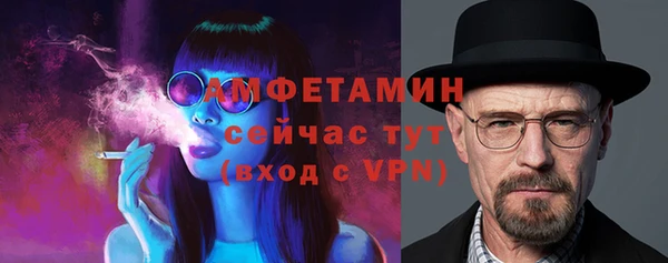 сатива Гусев