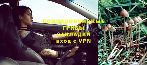 сатива Гусев