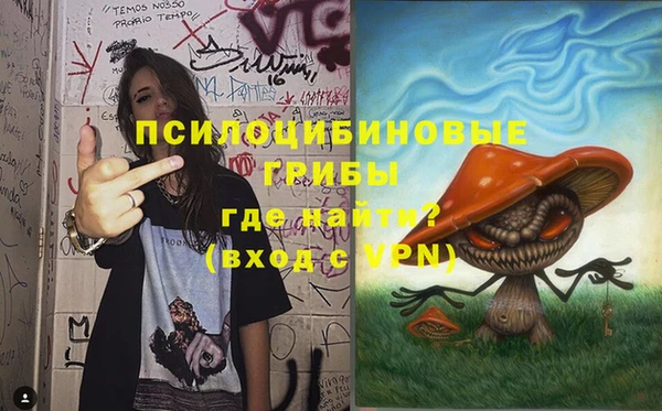 не бодяженный Гусь-Хрустальный